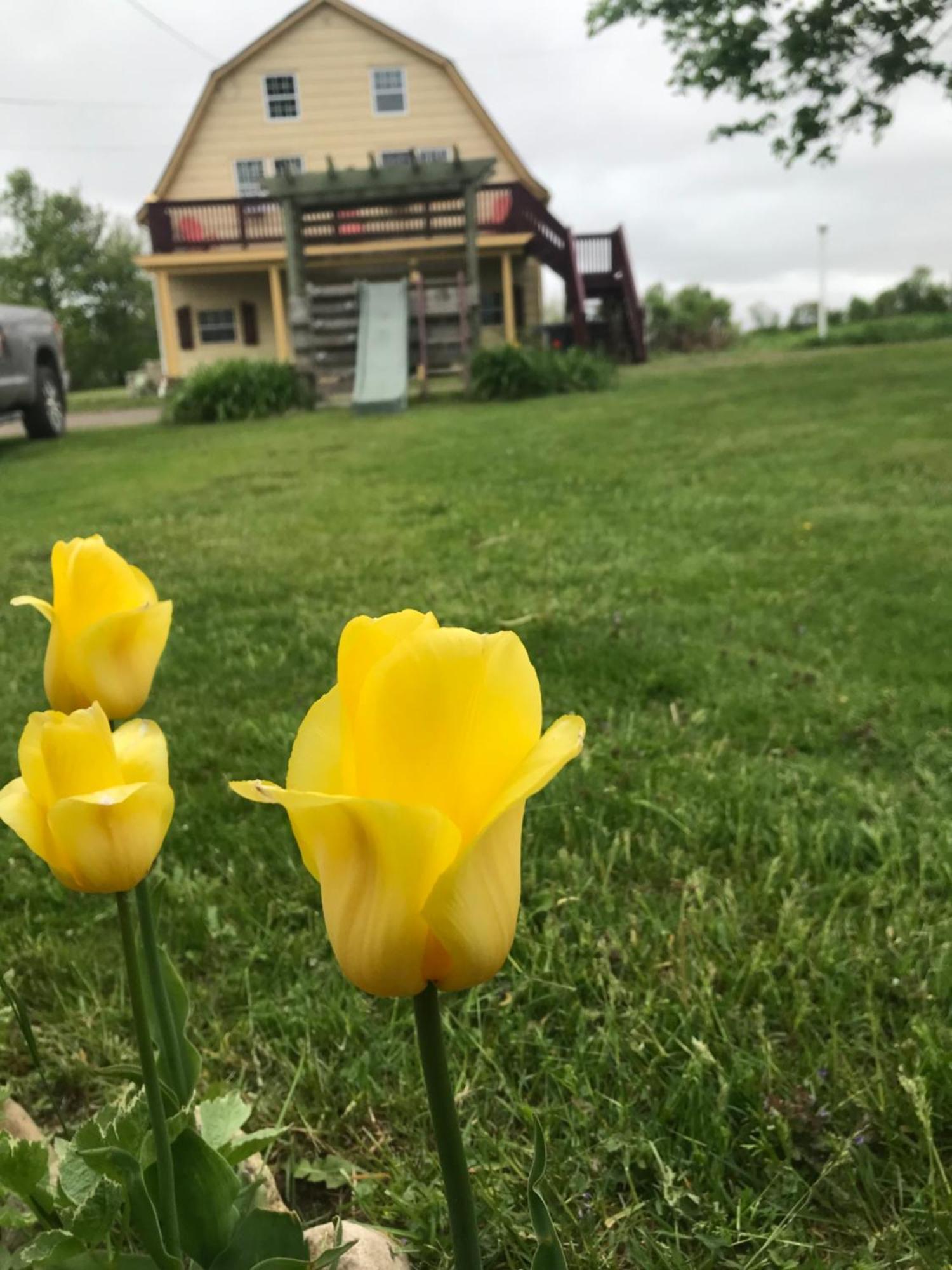 A Country Home Inn The City Charlottetown Buitenkant foto